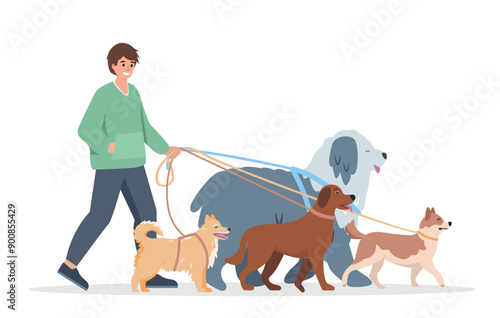 Young man walking with dogs on leash. Dog walker character. Pet owner or volunteer, pet care concept. Vector flat illustration isolated on white background.