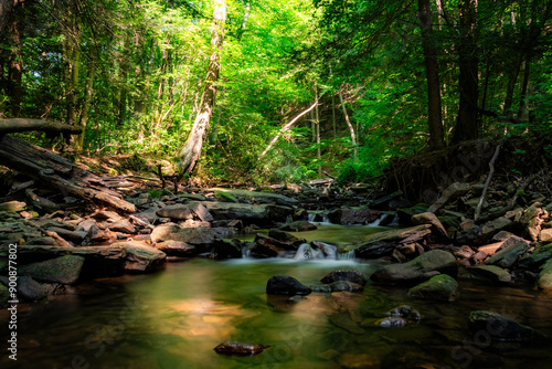 Creekside in the Morning