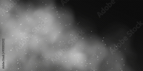 Snow overlay, cloud with snow particles, winter weather, snowstorm background. Vector illustration.
