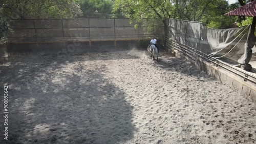 Horse doing piaffe. training to trotting. Training horse to dressage.