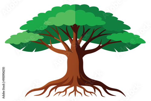  rainforest tree with big roots flat vector set, illustration on white background