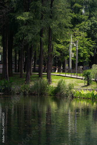 park in the park