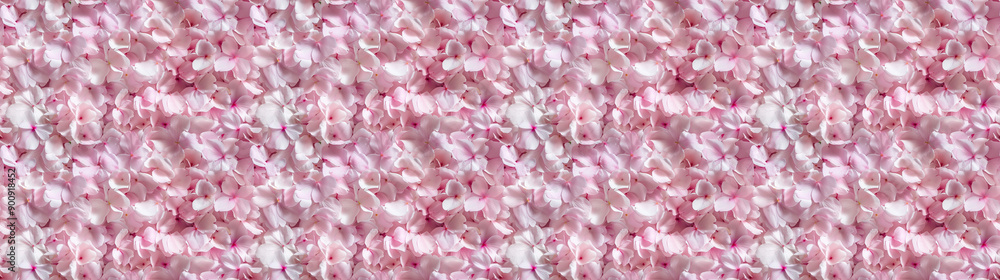 a densely packed pattern backgroundof cherry blossom petals completely covering the surface a densely packed pattern backgroundof cherry blossom petals completely covering the surface