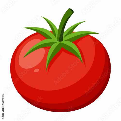 tomato on a white background