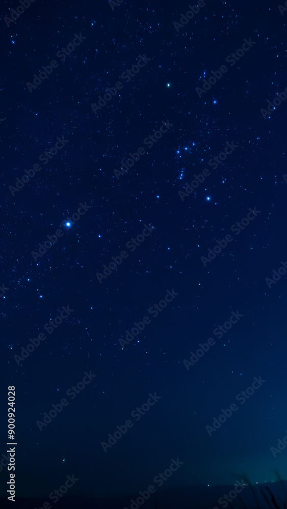 Fototapeta premium オリオン座とシリウス