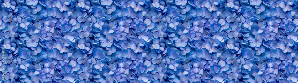 a densely packed pattern backgroundof hydrangea petals completely covering the surface a densely packed pattern backgroundof hydrangea petals completely covering the surface