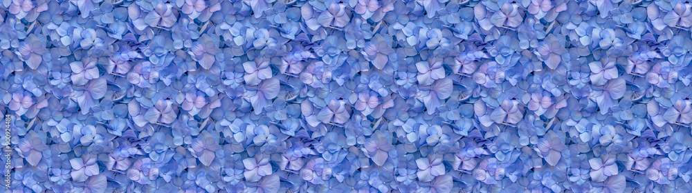 a densely packed pattern backgroundof hydrangea petals completely covering the surface a densely packed pattern backgroundof hydrangea petals completely covering the surface