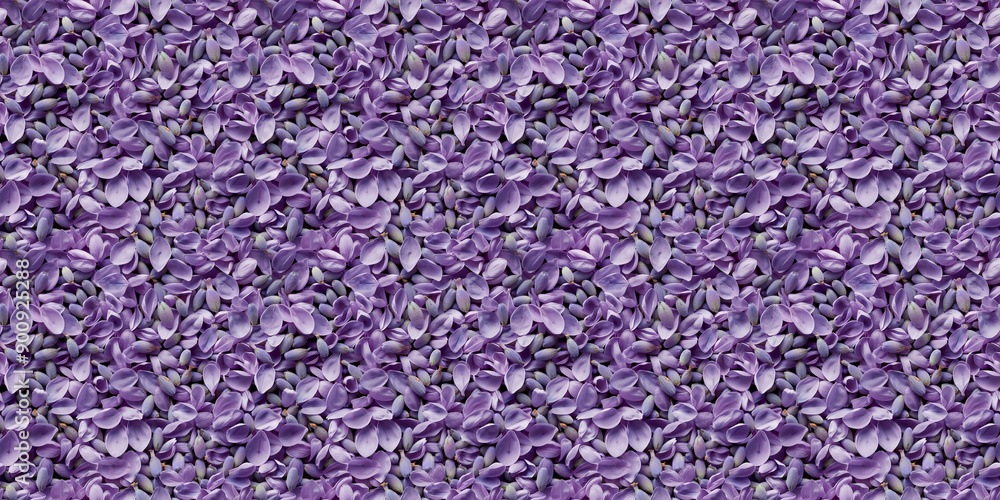 a densely packed texture background of individual lavender petals completely covering the surface a densely packed texture background of individual lavender petals completely covering the surface