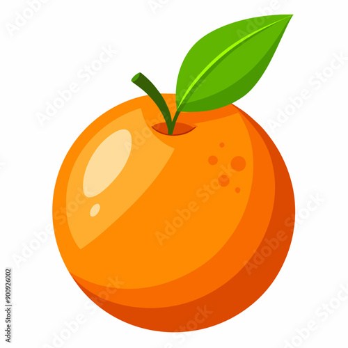 illustration of orange fruit