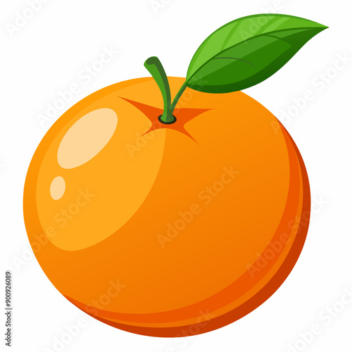 illustration of an orange fruit