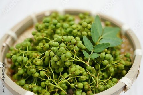 清々しい山椒の実