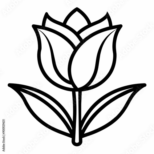 Illustration of Shallotte and line arts 