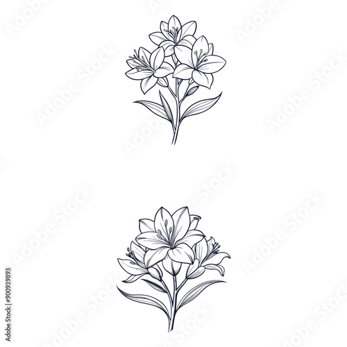 Creative Outline flower set  designs.