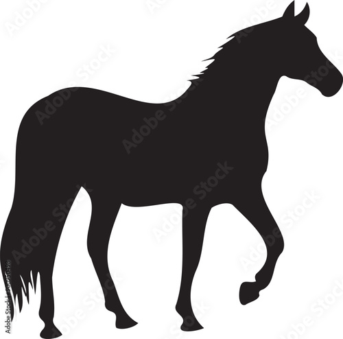 Horse silhouette on transparent background