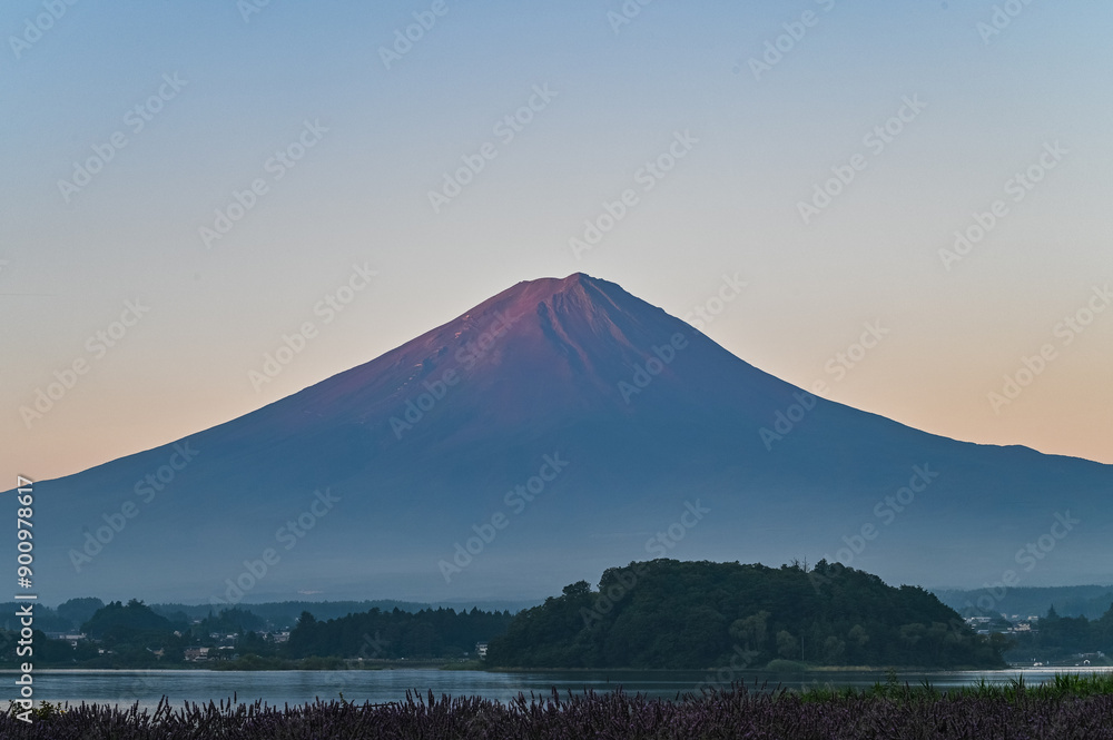 Fototapeta premium 日本山梨県河口湖からの夜明け前の富士山