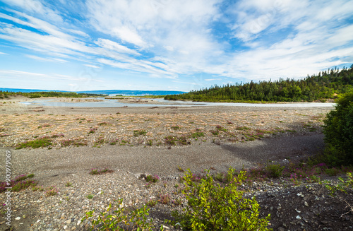 Glacial River Delta