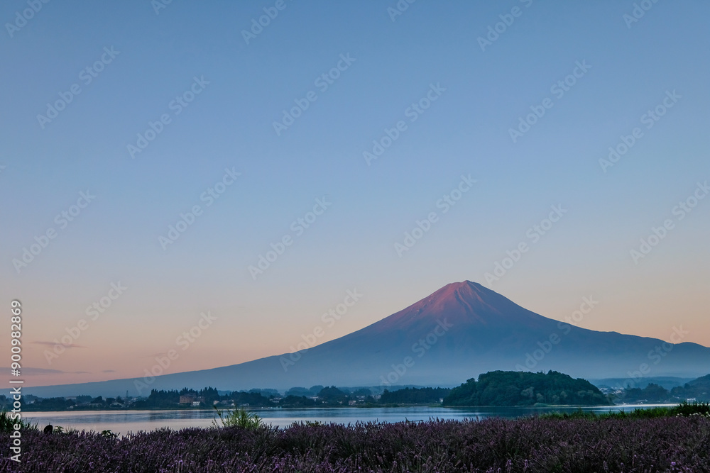 Fototapeta premium 日本山梨県河口湖からの夜明け前の富士山