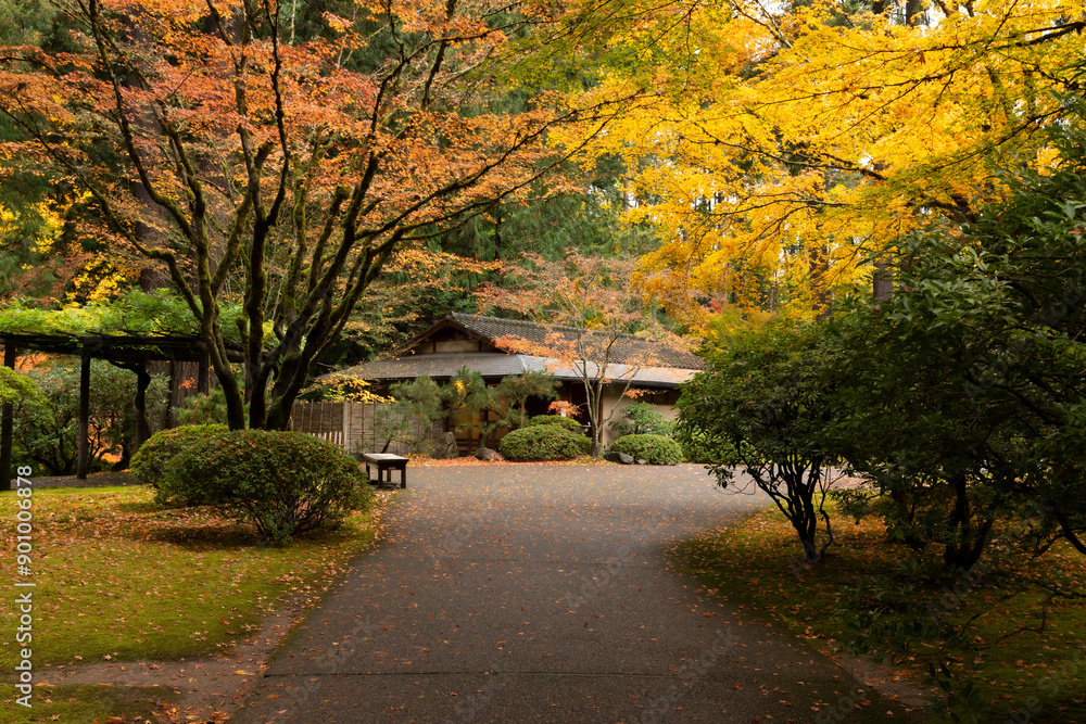 Naklejka premium Beautiful vibrant fall colors in the colorful forest of Portland Japanese Garden in Oregon, USA
