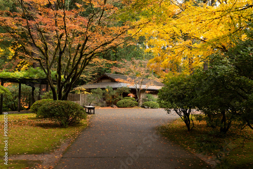 Beautiful vibrant fall colors in the colorful forest of Portland Japanese Garden in Oregon, USA