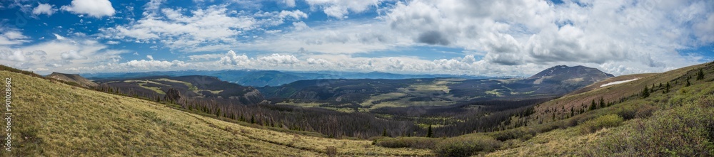 Mountain tundra panorama overlooking forest valley Mountain tundra panorama overlooking forest valley