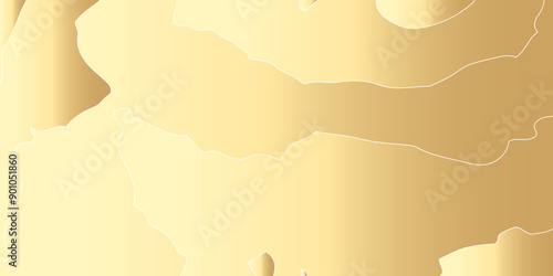 contour line map. vintage map of continent.