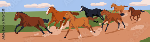 Horses running, country nature landscape. Galloping stallions in countryside. Untamed free equines herd, group racing, rushing on ground road at fast speed, panorama. Flat vector illustration