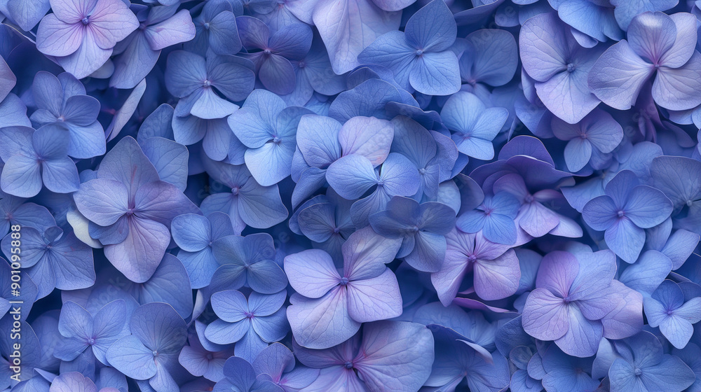 Fototapeta premium a densely packed seamless pattern of hydrangea petals completely covering the surface. extreme closeup of soft petals overlapping in various angles, creating a lush texture.