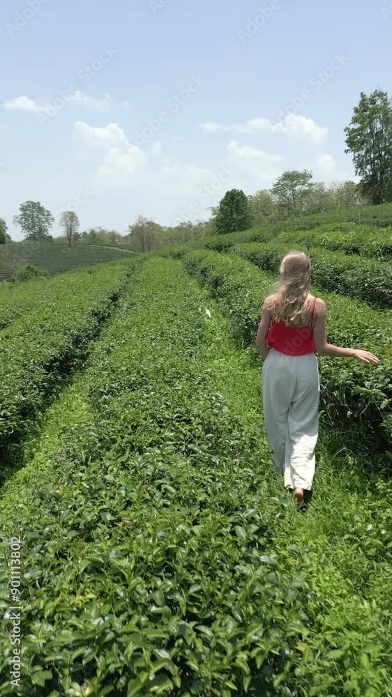 Woman visits tea plantation in Chiang Rai, Thailand. Woman visits tea plantation in Chiang Rai, Thailand.