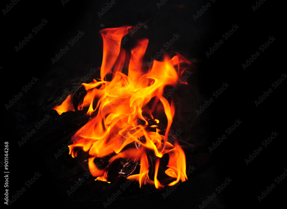 Fototapeta premium burning fire in the dark