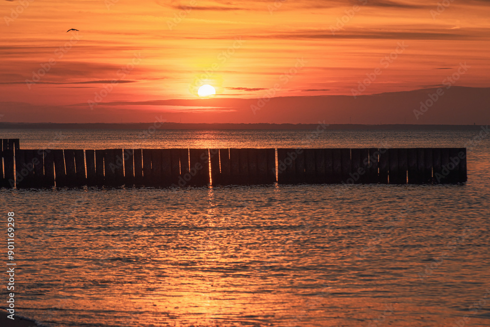 View of sand beach with wooden breakwaters on the Baltic Sea coast on sunset in Zelenogradsk. Russia