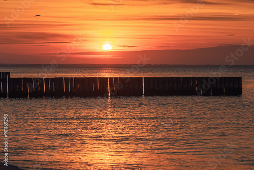 Obraz na płótnie View of sand beach with wooden breakwaters on the Baltic Sea coast on sunset in Zelenogradsk. Russia w salonie