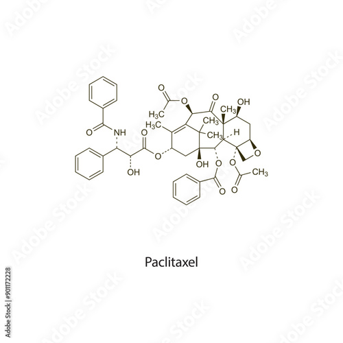 Paclitaxel flat skeletal molecular structure Antineoplastic drug used in cancer treatment. Vector illustration scientific diagram.