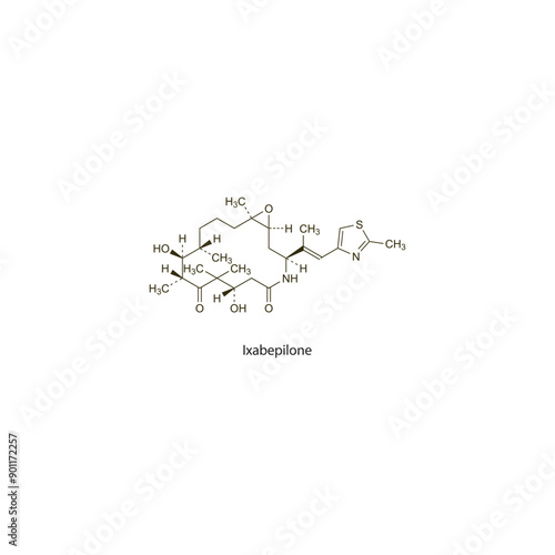 Ixabepilone flat skeletal molecular structure Antineoplastic drug used in cancer treatment. Vector illustration scientific diagram.