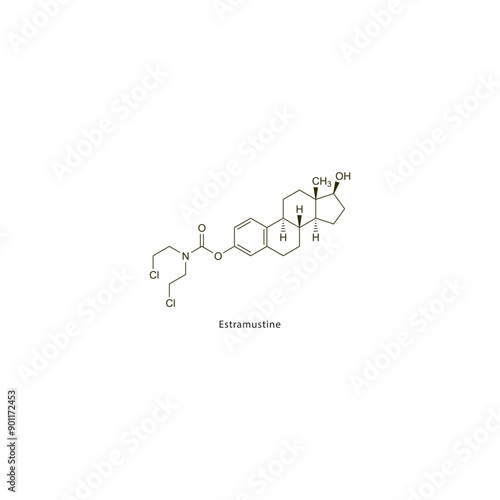 Estramustine flat skeletal molecular structure Antineoplastic drug used in cancer treatment. Vector illustration scientific diagram.
