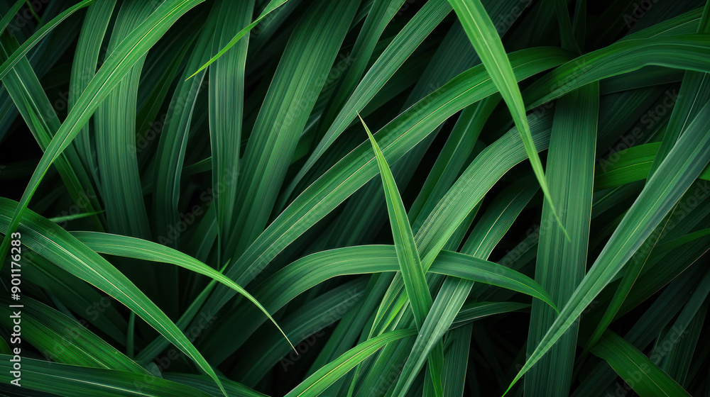 Fototapeta premium Emerald green grass blades, soft and vibrant, create a lush backdrop.