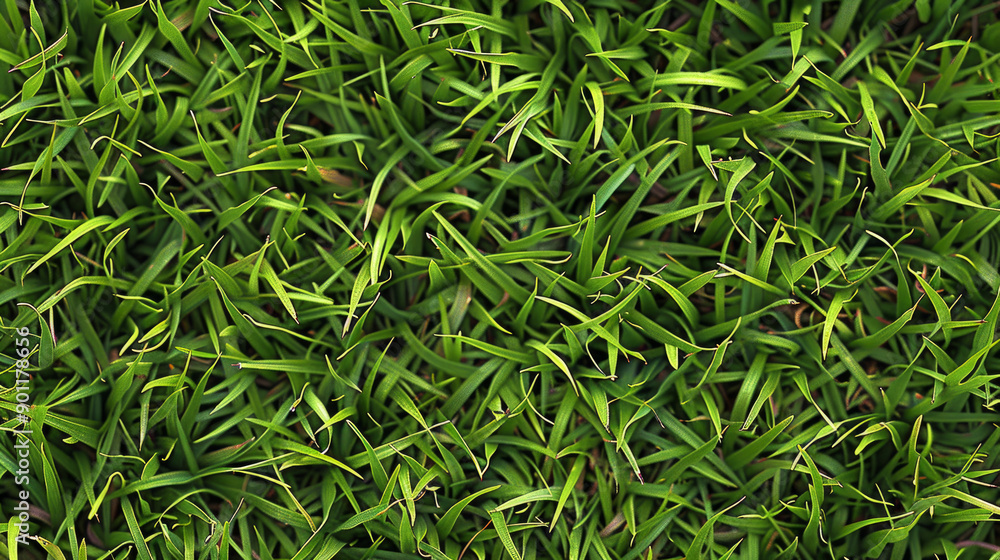 Natural-looking, repeating pattern of green grass for use as a background or texture. Natural-looking, repeating pattern of green grass for use as a background or texture.