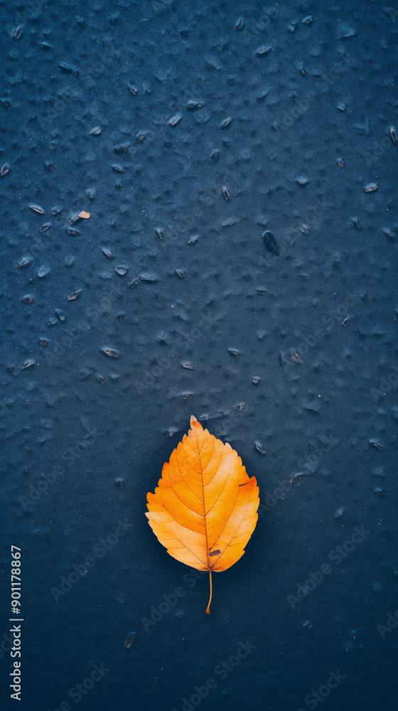 Autumn wallpaper background. Autumn wallpaper background.