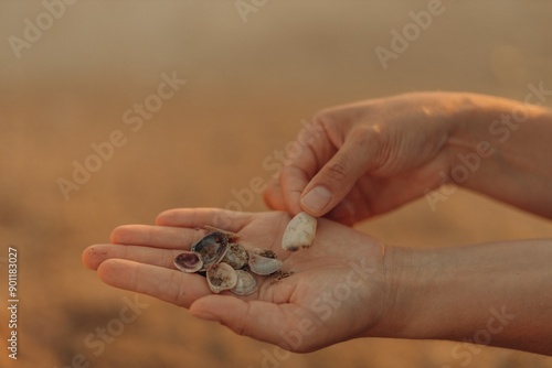 A woman's hands holding shells against the background of the sea, a close-up of shells in her palms. 