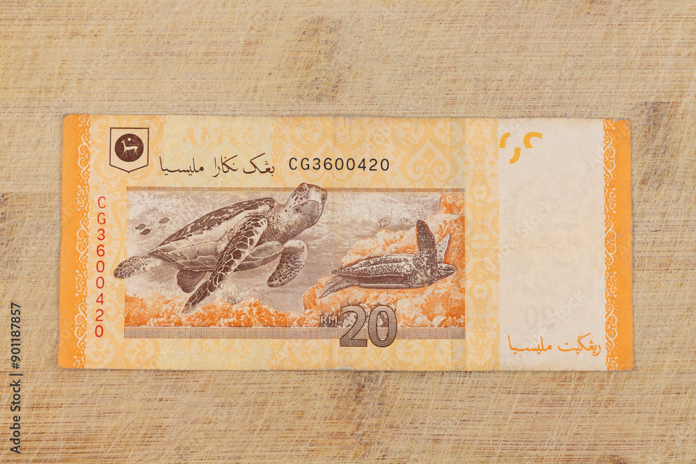The 20 ringgit banknote backside features two leatherback turtles on ...