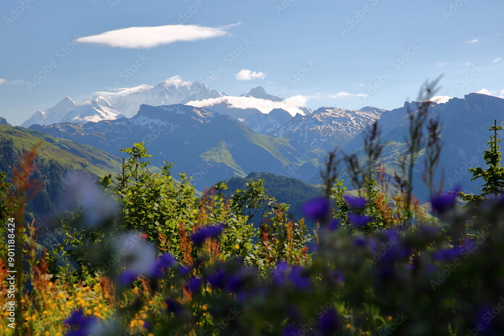 The Mont Blanc viewed from a hiking trail (overlooking the lake of Roselend) on a ridge leading to Roche Parstire, and located in the Beaufortain region, Savoie, France