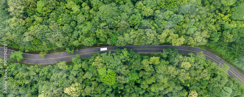 Aerial view of car in green forest. eco-friendly transport. Clean and greenhouse-free green transport concept in electric drive mode. © Dee karen