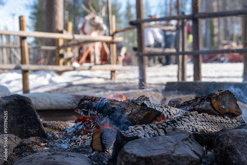 Canvastavla Close up yellow flames lapping against ashen logs in santa claus village finland