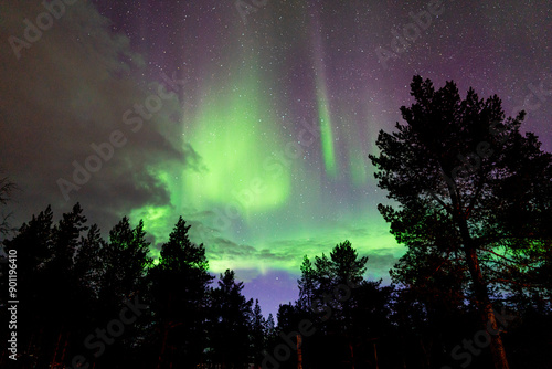 Northern light over Enontekio, Finland