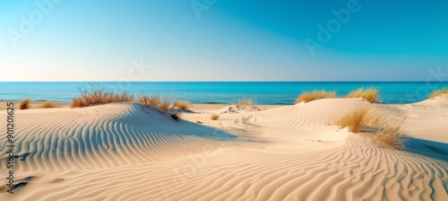Fototapeta Naklejka Na Ścianę i Meble -  Sand Dunes Under Bright Sunlight