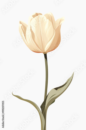 Elegant beige tulip illustration