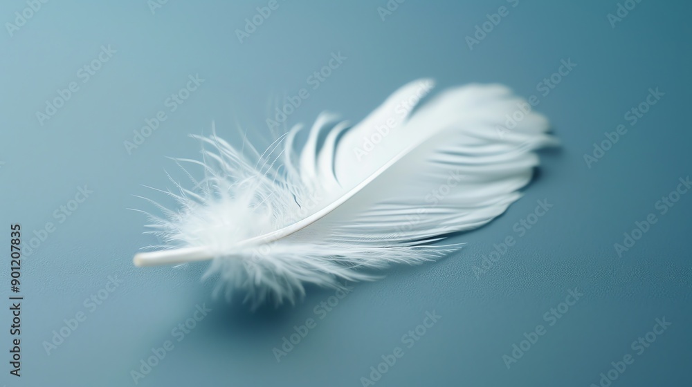 Fototapeta premium A single white feather lies on a light blue surface.