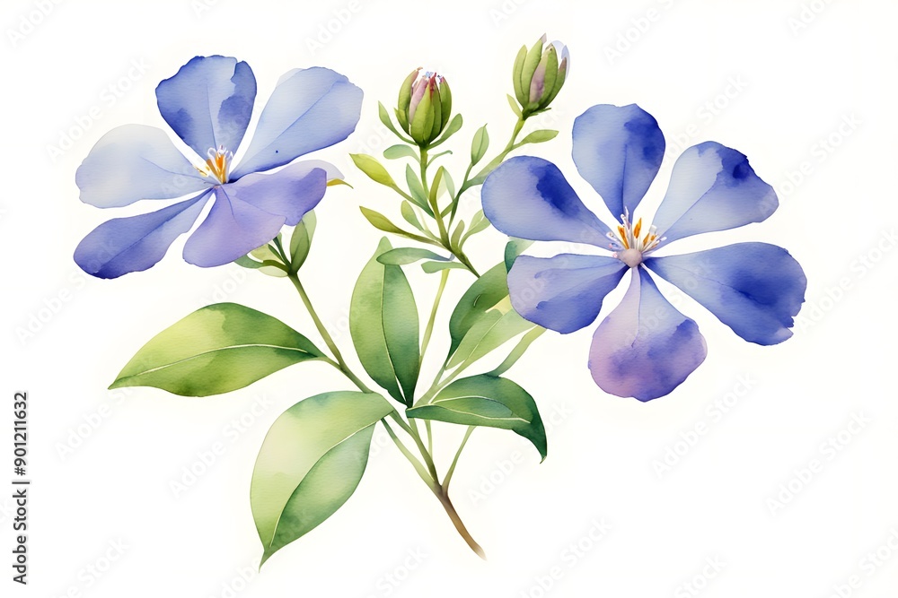 Fototapeta premium Watercolor cape leadwort flower on white background, AI generated