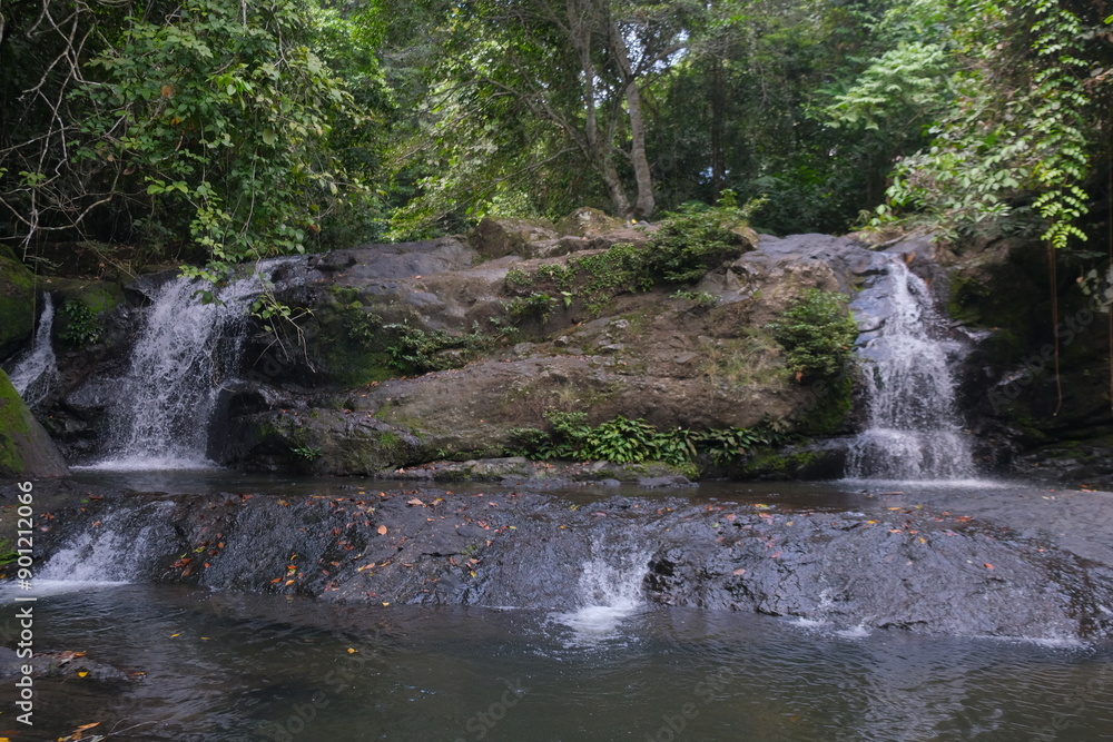 Fototapeta premium Palalang Waterscape in East Barito Forest