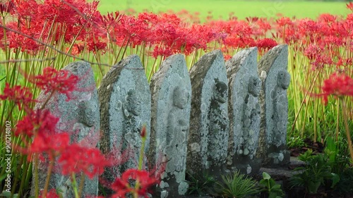 彼岸花に囲まれた六地蔵