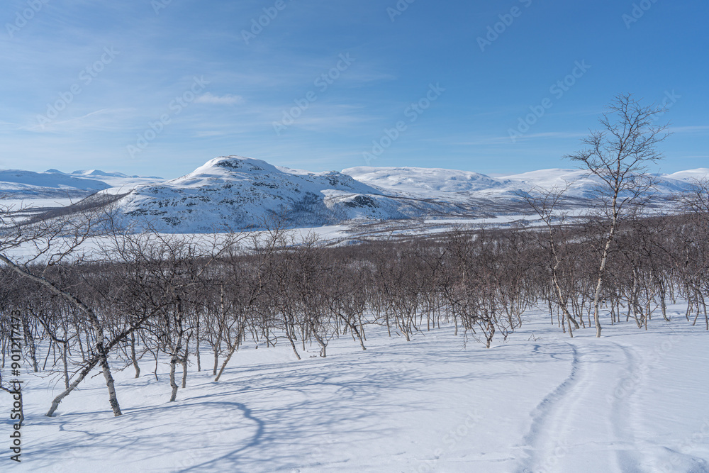 Obraz premium view from saana fell hiking route, kilpisjarvi, Finland